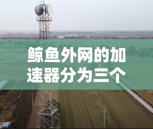 鲸鱼外网的加速器分为三个版本，Pro版、Pro+版和ThreeD版本，每个版本都有其独特的功能和适用场景。以下是关于这三个版本的详细分析