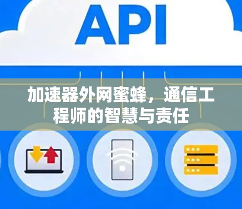 加速器外网蜜蜂，通信工程师的智慧与责任