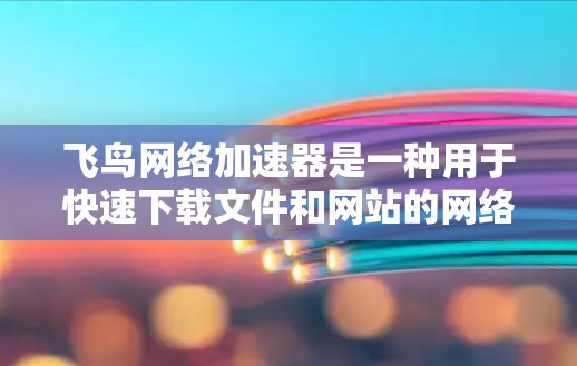 飞鸟网络加速器是一种用于快速下载文件和网站的网络加速工具，支持多种格式的文件和网站下载，包括HTML、图片、视频、语音等。它通过优化网络连接速度、减少延迟和压缩格式，帮助用户更快地下载所需内容