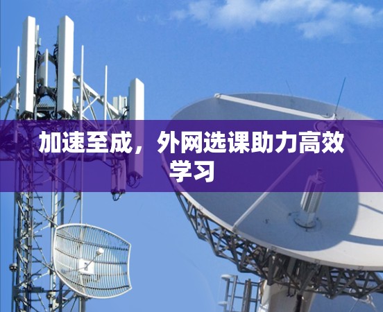 加速至成，外网选课助力高效学习