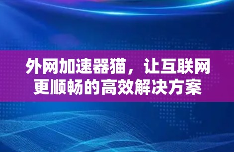 外网加速器猫，让互联网更顺畅的高效解决方案