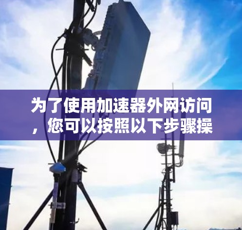 为了使用加速器外网访问，您可以按照以下步骤操作
