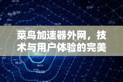 菜鸟加速器外网，技术与用户体验的完美结合
