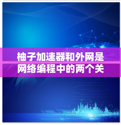 柚子加速器和外网是网络编程中的两个关键工具，它们各自在特定场景中发挥着重要作用。以下是对这两个概念的详细分析和总结