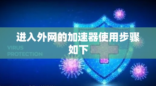 进入外网的加速器使用步骤如下