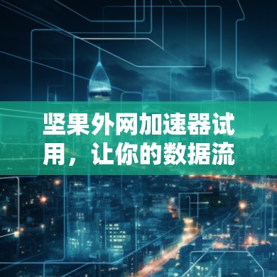 坚果外网加速器试用，让你的数据流更顺畅！