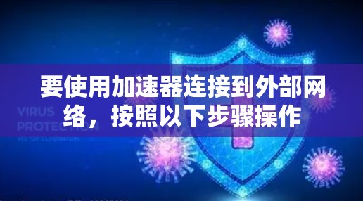 要使用加速器连接到外部网络，按照以下步骤操作