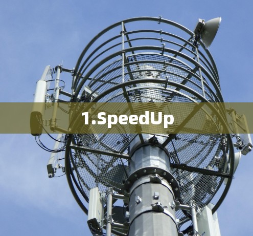 1.SpeedUp