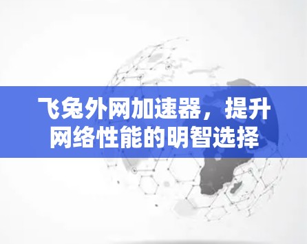 飞兔外网加速器，提升网络性能的明智选择