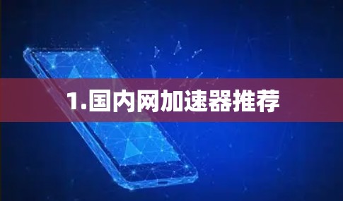 1.国内网加速器推荐