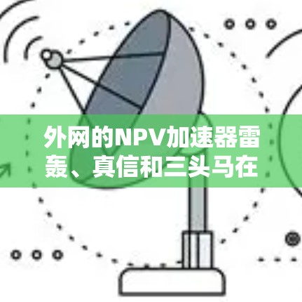 外网的NPV加速器雷轰、真信和三头马在计算NPV方面各有特色，适合不同的用户需求。以下是对这三款工具的详细介绍
