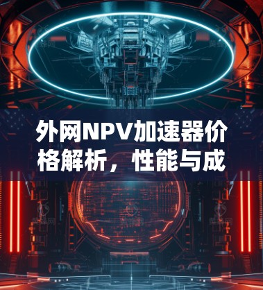 外网NPV加速器价格解析，性能与成本的平衡