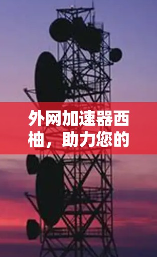 外网加速器西柚，助力您的网络速度超快