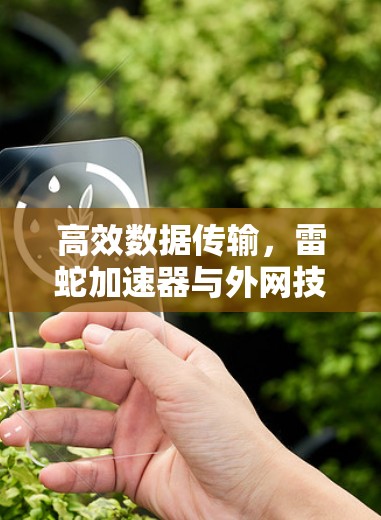 高效数据传输，雷蛇加速器与外网技术的结合