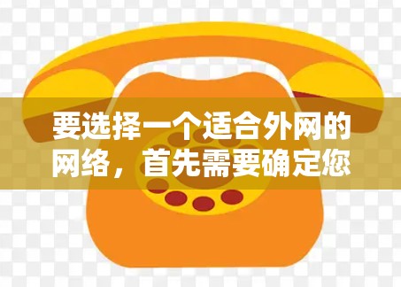要选择一个适合外网的网络，首先需要确定您所在的国家和地区，因为不同地区的网络IP地址可能会有所不同。以下是一些常见的网络IP地址参考