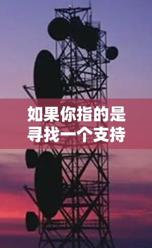 如果你指的是寻找一个支持外网连接的加速器软件，以下是一些常用且功能强大的加速器推荐