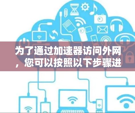 为了通过加速器访问外网，您可以按照以下步骤进行操作