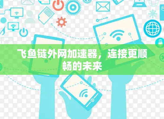 飞鱼链外网加速器，连接更顺畅的未来