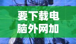 要下载电脑外网加速器，以下是一些推荐的工具和方法