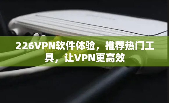 226VPN软件体验，推荐热门工具，让VPN更高效