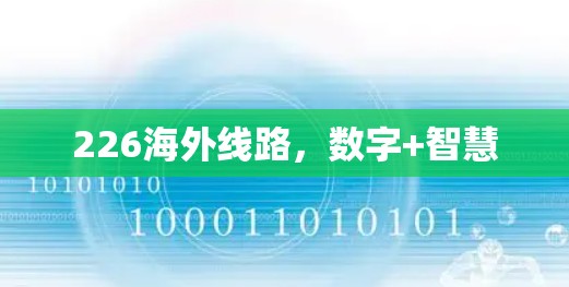 226海外线路，数字+智慧