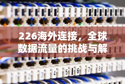 226海外连接，全球数据流量的挑战与解决方案