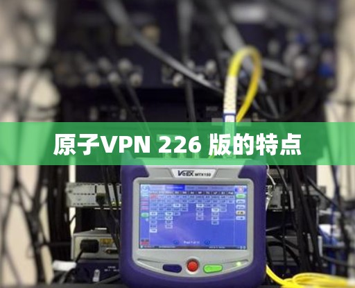 原子VPN 226 版的特点
