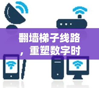翻墙梯子线路，重塑数字时代安全新标准
