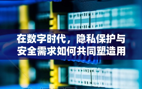 在数字时代，隐私保护与安全需求如何共同塑造用户信任与选择？
