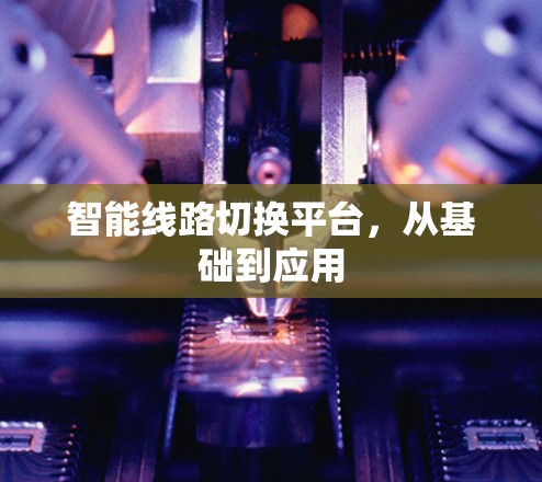 智能线路切换平台，从基础到应用