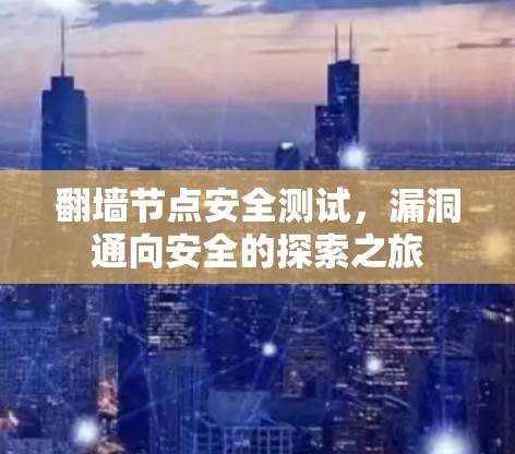 翻墙节点安全测试，漏洞通向安全的探索之旅