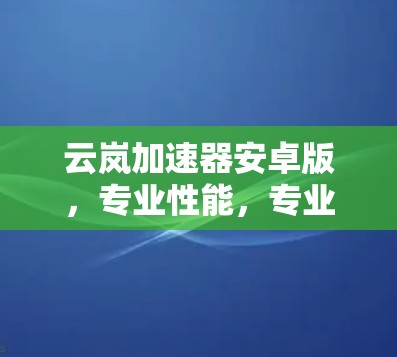 云岚加速器安卓版，专业性能，专业体验