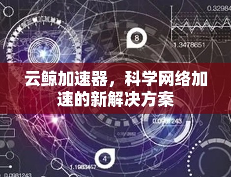 云鲸加速器，科学网络加速的新解决方案