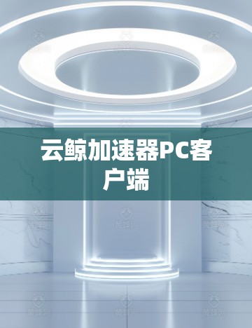 云鲸加速器PC客户端