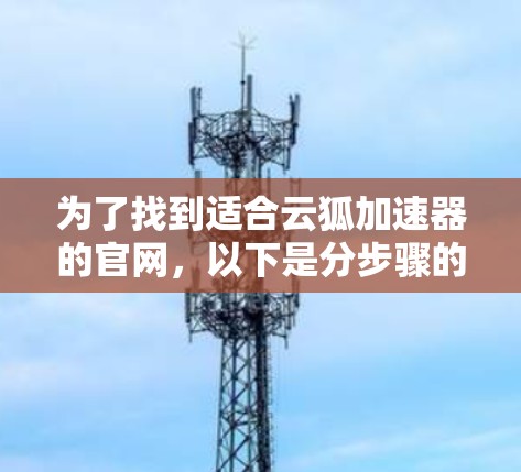 为了找到适合云狐加速器的官网，以下是分步骤的建议