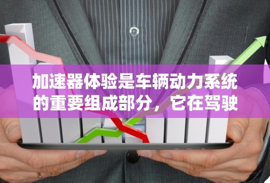 加速器体验是车辆动力系统的重要组成部分，它在驾驶过程中起到关键作用。以下是对加速器体验的详细分析