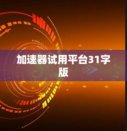 加速器试用平台31字版
