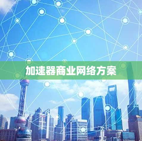 加速器商业网络方案