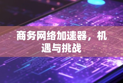 商务网络加速器，机遇与挑战