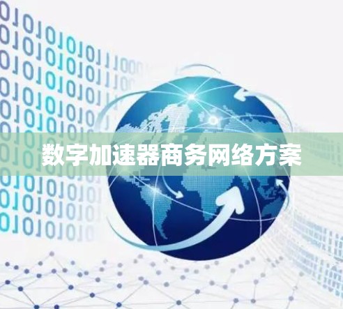 数字加速器商务网络方案