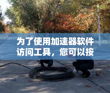 为了使用加速器软件访问工具，您可以按照以下步骤进行
