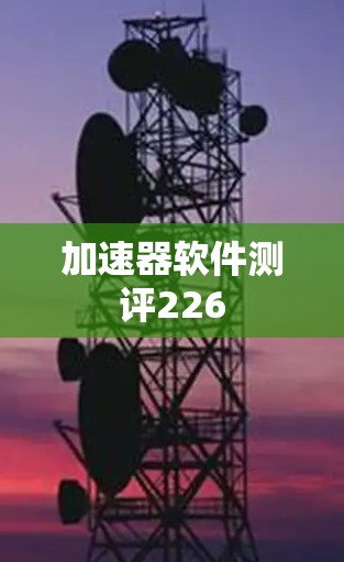加速器软件测评226