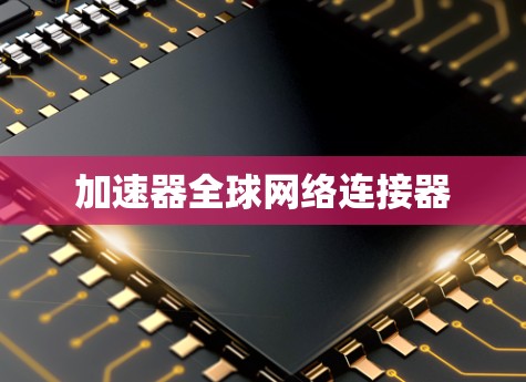 加速器全球网络连接器