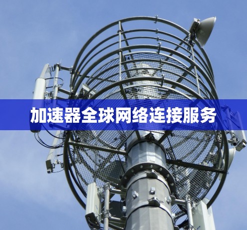 加速器全球网络连接服务