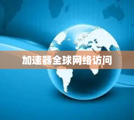 加速器全球网络访问