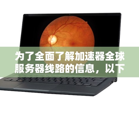 为了全面了解加速器全球服务器线路的信息，以下是一个结构化的总结，涵盖了关键点