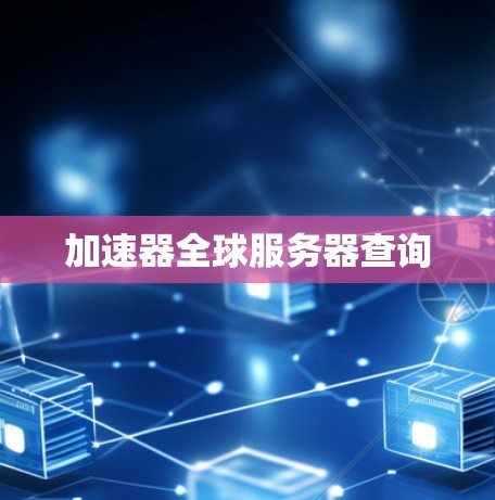 加速器全球服务器查询