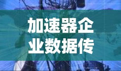 加速器企业数据传输是一个复杂但重要的领域，涉及多个关键方面以提高数据传输效率和可靠性。以下是对该问题的分步解释和总结