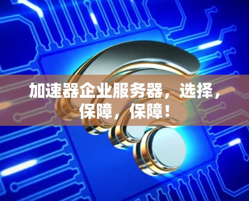 加速器企业服务器，选择，保障，保障！