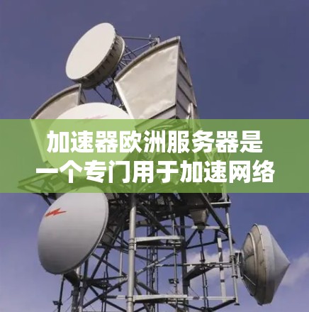 加速器欧洲服务器是一个专门用于加速网络连接的服务器，主要服务于欧洲地区的用户。以下是关于加速器欧洲服务器的详细分析